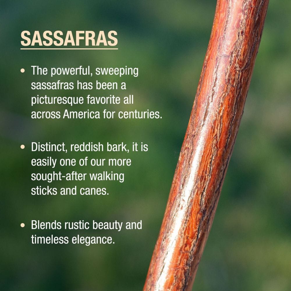 Close-up of a sassafras branch with descriptive text on a blurred green background