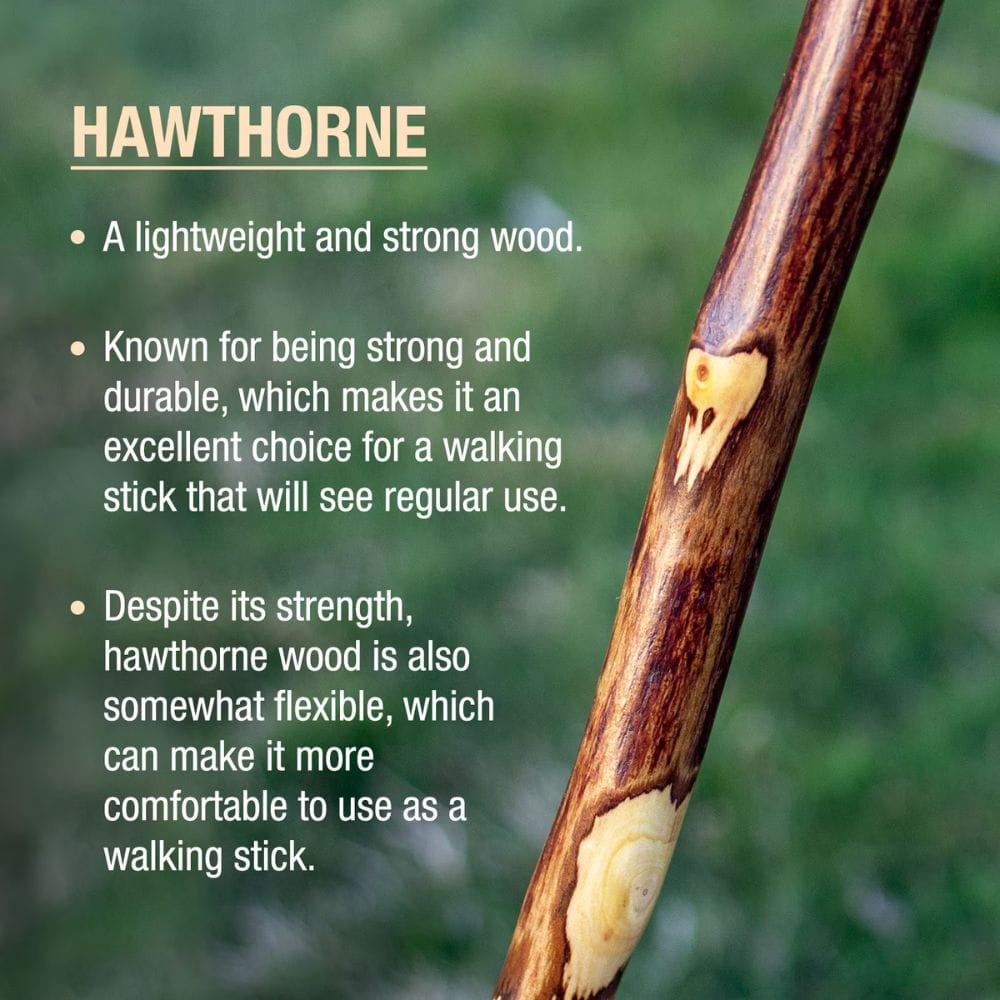 Hawthorne wood stick with text about its properties on a blurred green background