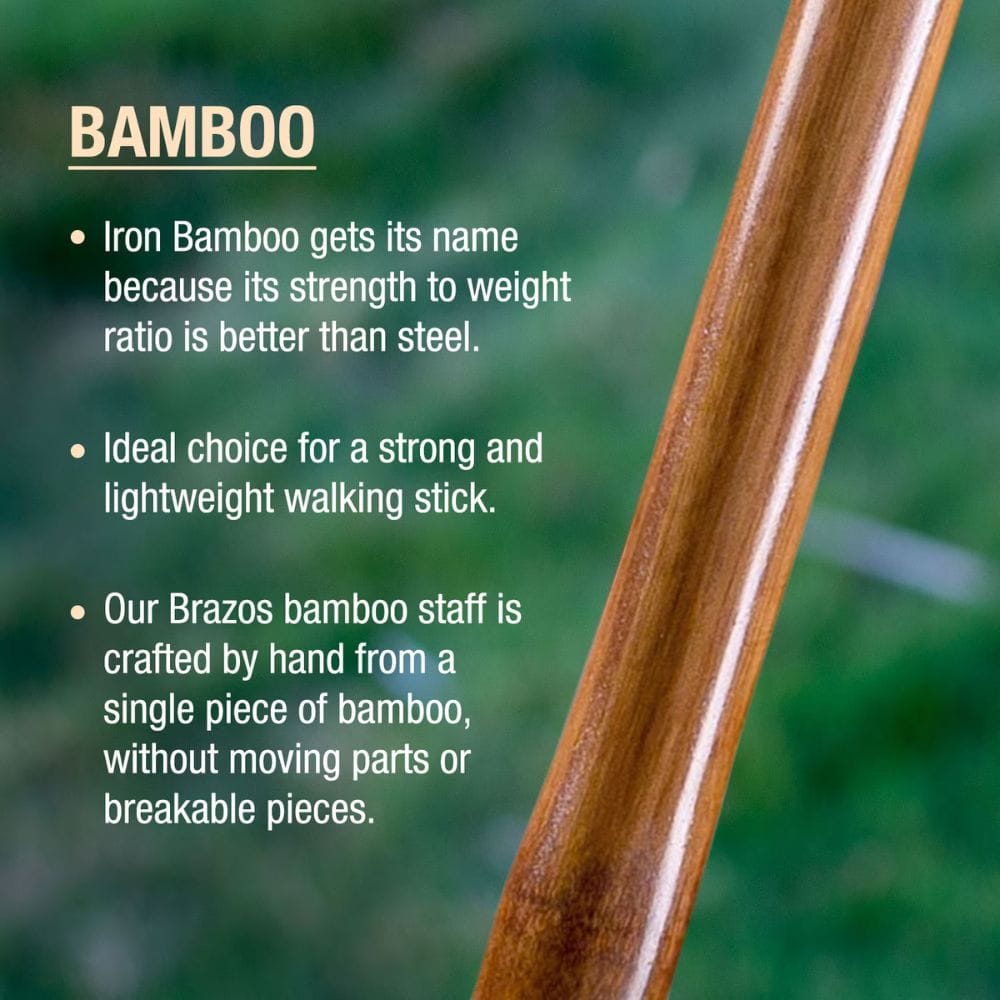 Bamboo walking stick with text about its properties on a blurred green background