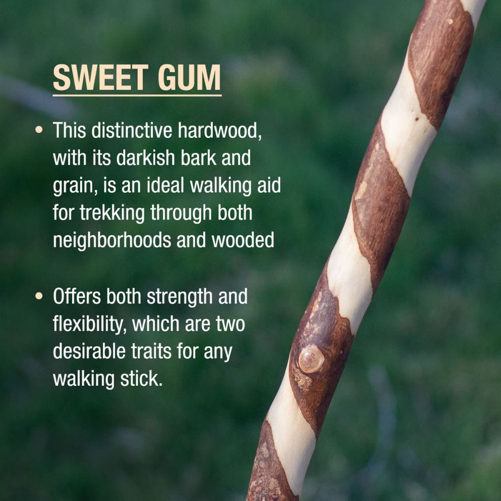 Sweet gum walking stick with descriptive text on a blurred green background