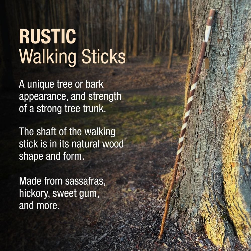Rustic walking stick leaning against a tree with descriptive text about its characteristics.
