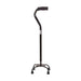 Black walking cane on a white background