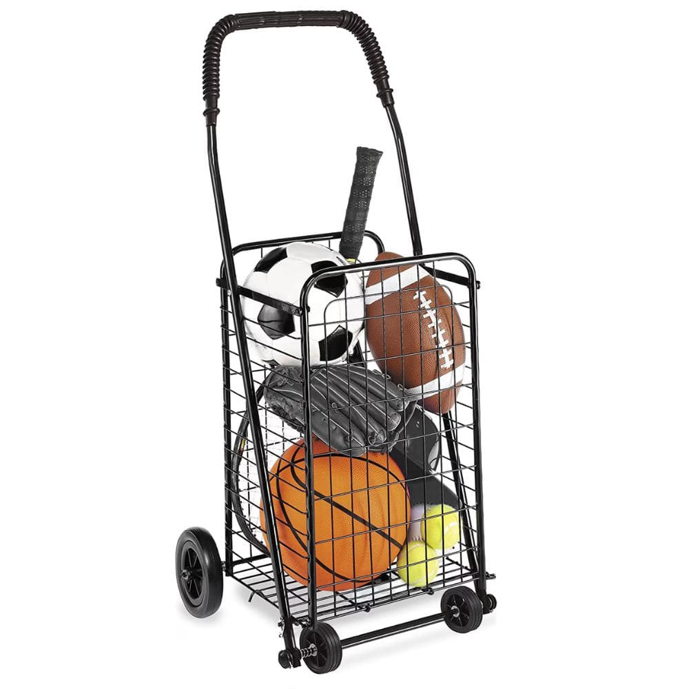 Basketball, soccer ball, and football in a wire shopping cart on a white background