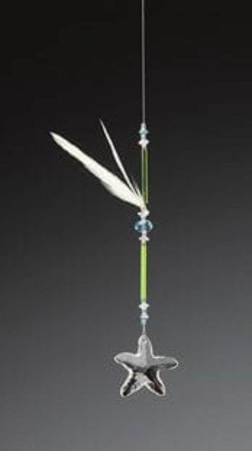 Starfish Medium Single Crystal Light Catcher