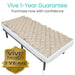 Beige heating pad on a white background with 'Vive Health' branding and 1-year guarantee offer.