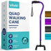 Purple walking cane with Vive branding next to its packaging