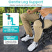 Person using a wheelchair with leg support system in an outdoor setting