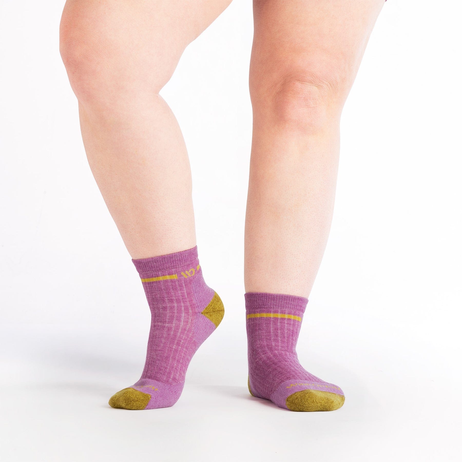 Wide Open Women's Single Stripe Cushioned Quarter Socks